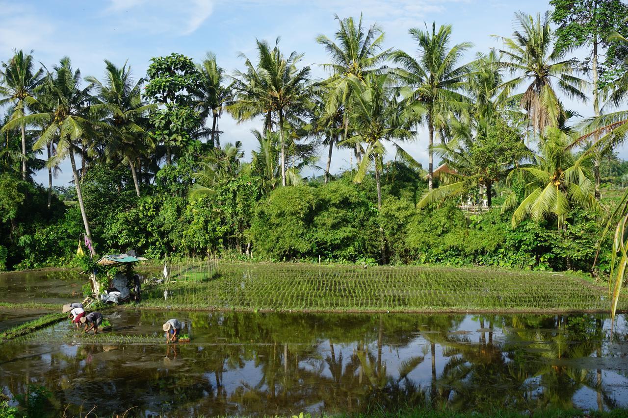 Puri Kobot Ubud Exterior foto